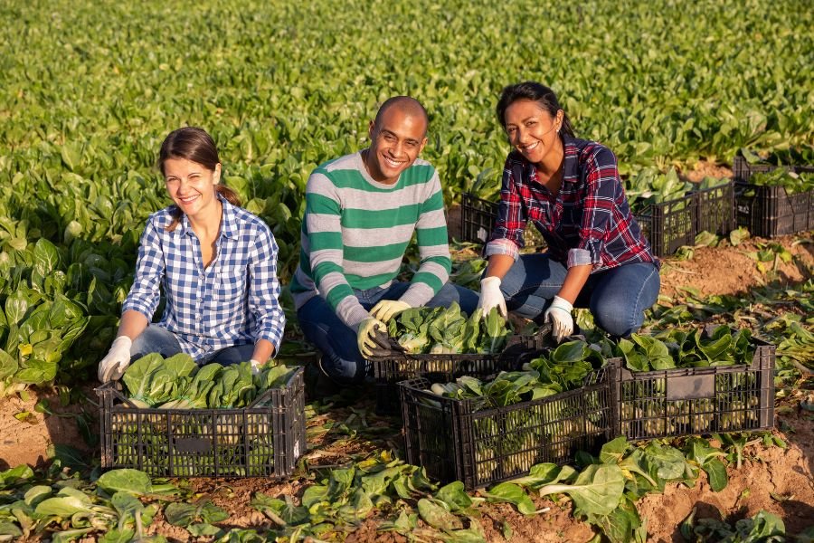 Farm Supply Solutions