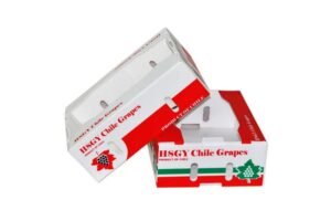 Corflute boxes