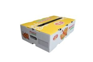 Plastic Corflute boxes