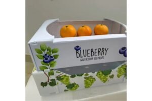 Corflute boxes