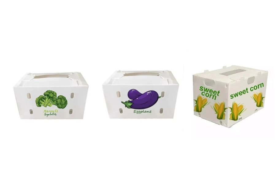 PP Corflute vegetable boxes