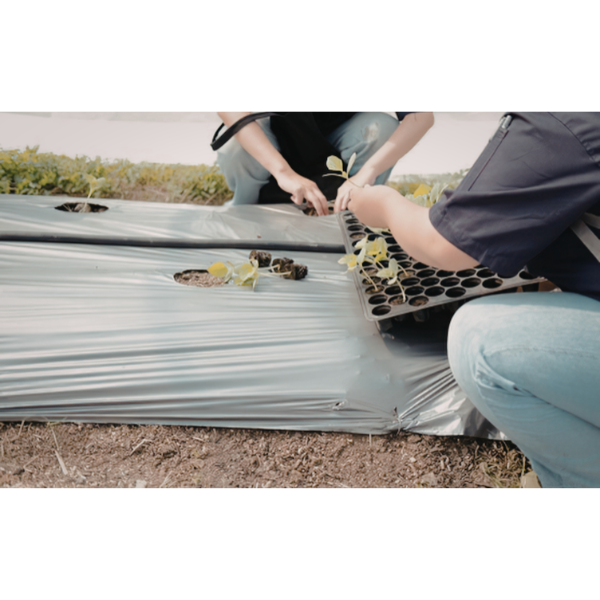 Mulch film