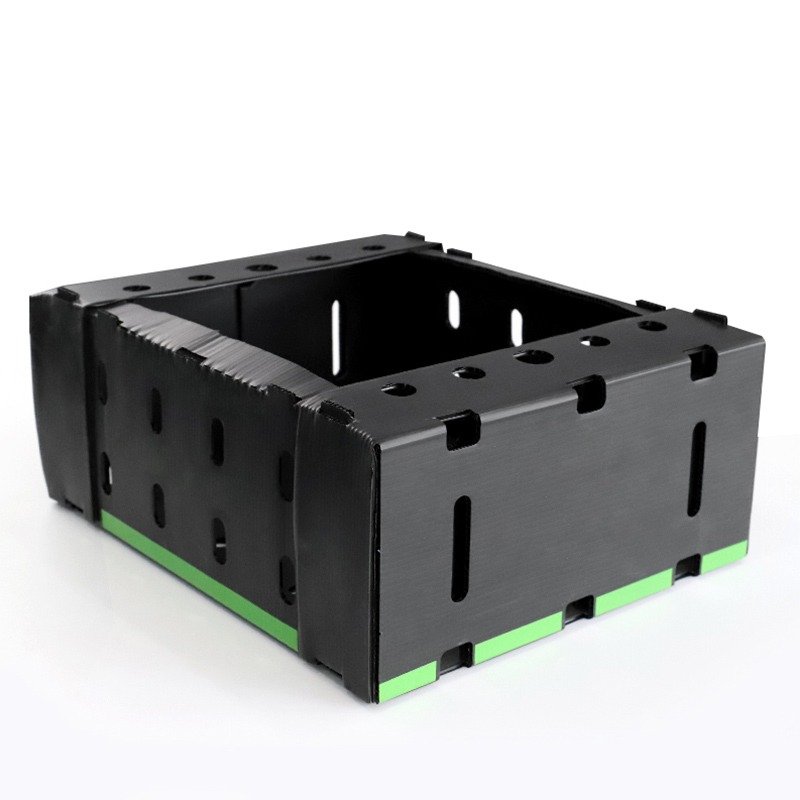 Corflute boxes